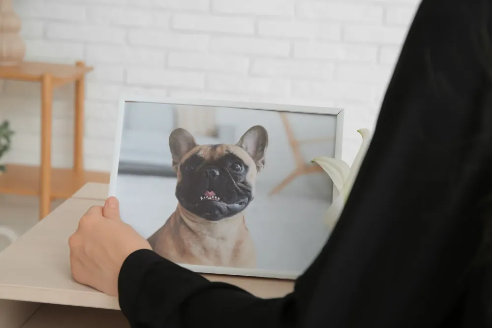 mémoire animal